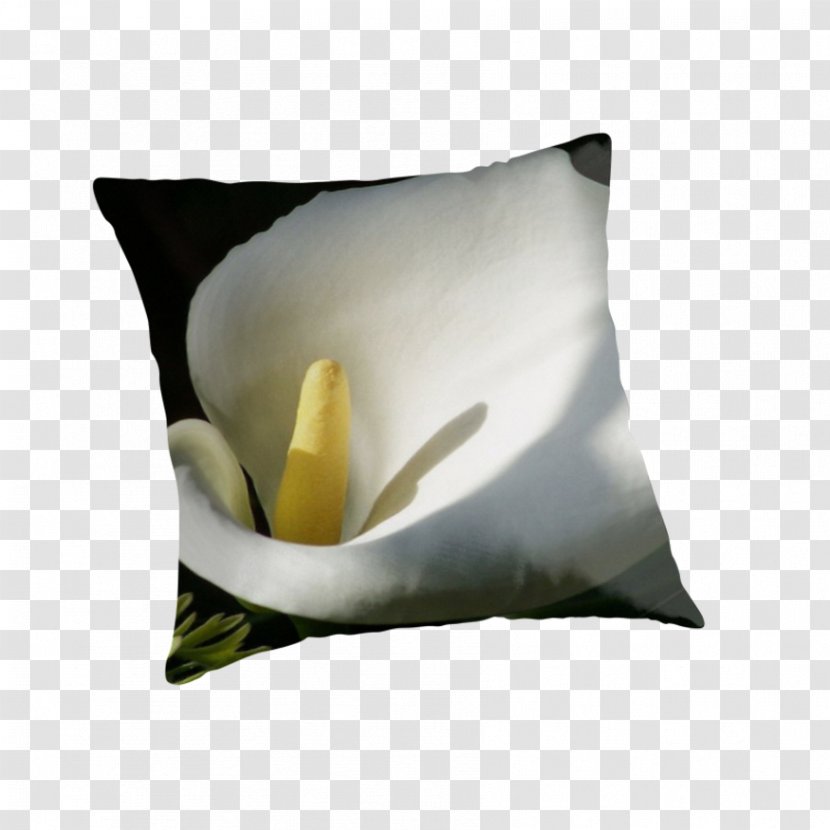 Throw Pillows Cushion Flower Petal - Funeral - Callalily Transparent PNG