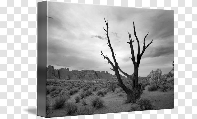 Landscape Photography Bryce Canyon National Park - Painting Transparent PNG