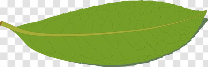 Cherry Laurel Leaf Bay Byte Clip Art - Grass Transparent PNG