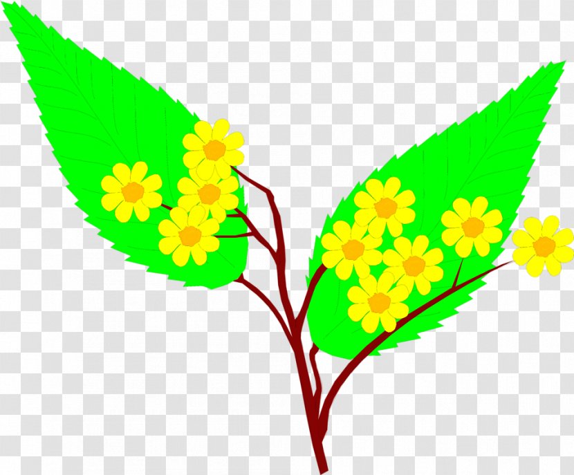 Yellow Flower Clip Art - Stock Photography - Flowers Illustrations Transparent PNG