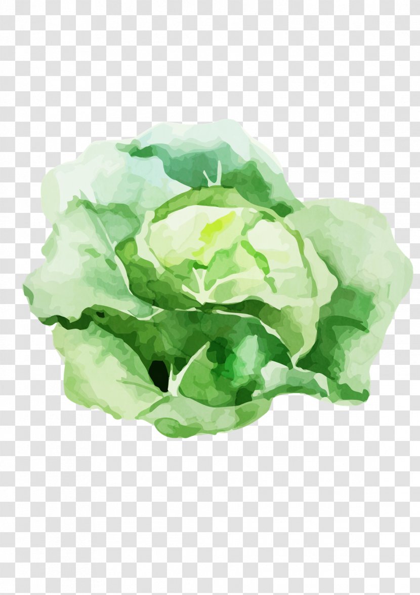 Food Veggie Burger Vegetarian Cuisine Vegetable Pharmaceutical Drug - Rose - Cabbage Transparent PNG