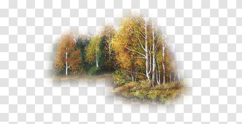 Landscape Autumn - Tree Transparent PNG