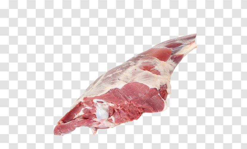 Goat Meat Halal Lamb And Mutton - Silhouette Transparent PNG