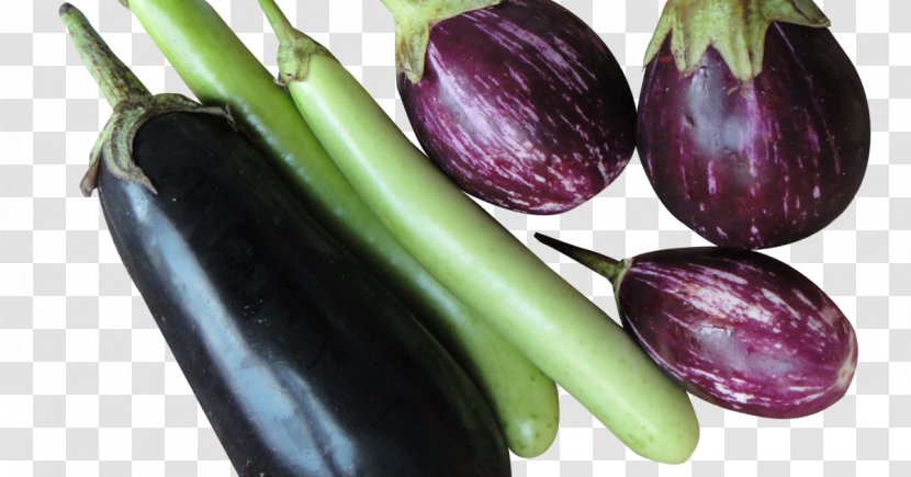 Vegetarian Cuisine Stuffed Eggplant Baingan Bharta Ratatouille - Zucchini Transparent PNG