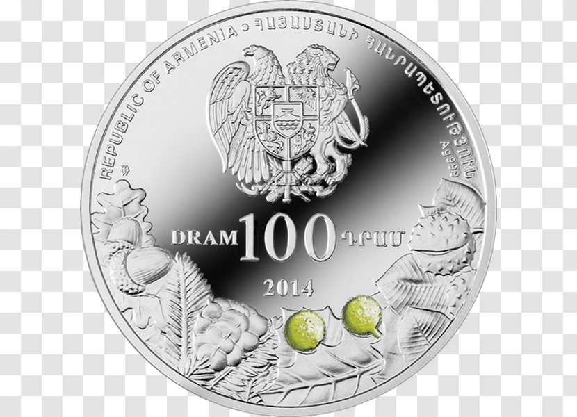 Tnjri Şıx Dursun Chinari, Armenia Nagorno-Karabakh Coin Transparent PNG