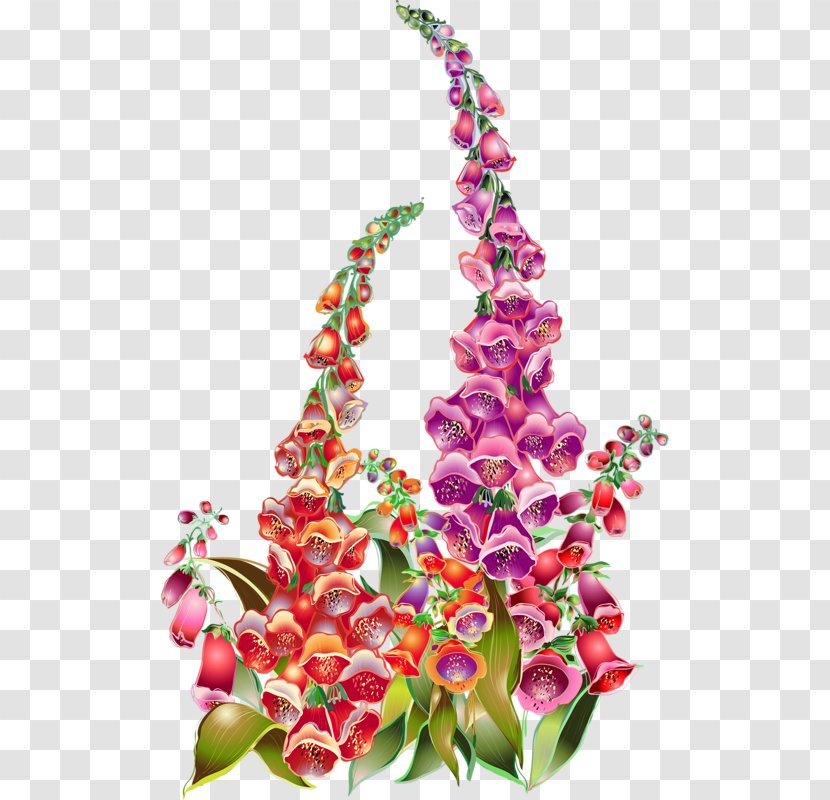 Flower Clip Art - Magenta - Hand-painted Bell Orchid Transparent PNG