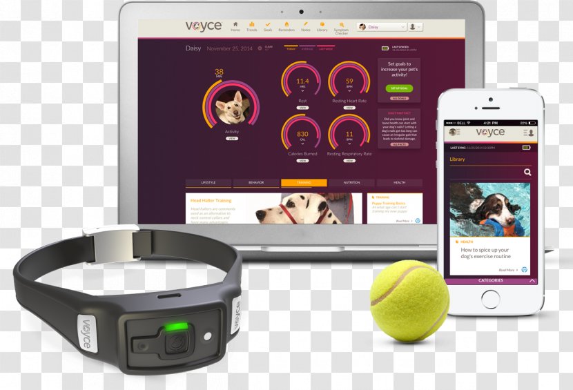 Dog Collar Health Pet Computer Monitors - Electronics - Gps Transparent PNG