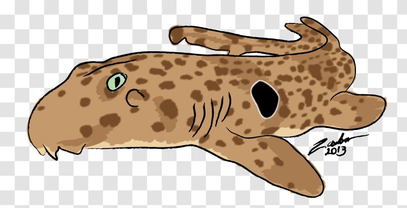 Epaulette Shark Fish Cat Animal - Big Cats - Week Transparent PNG