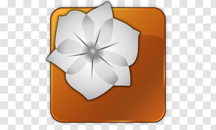 Icon Design Clip Art - Orange - Illustrator Transparent PNG