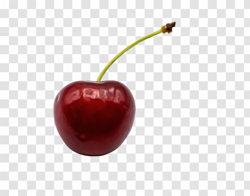 Cherry Fruit Red Plant Food - Accessory - Drupe Transparent PNG