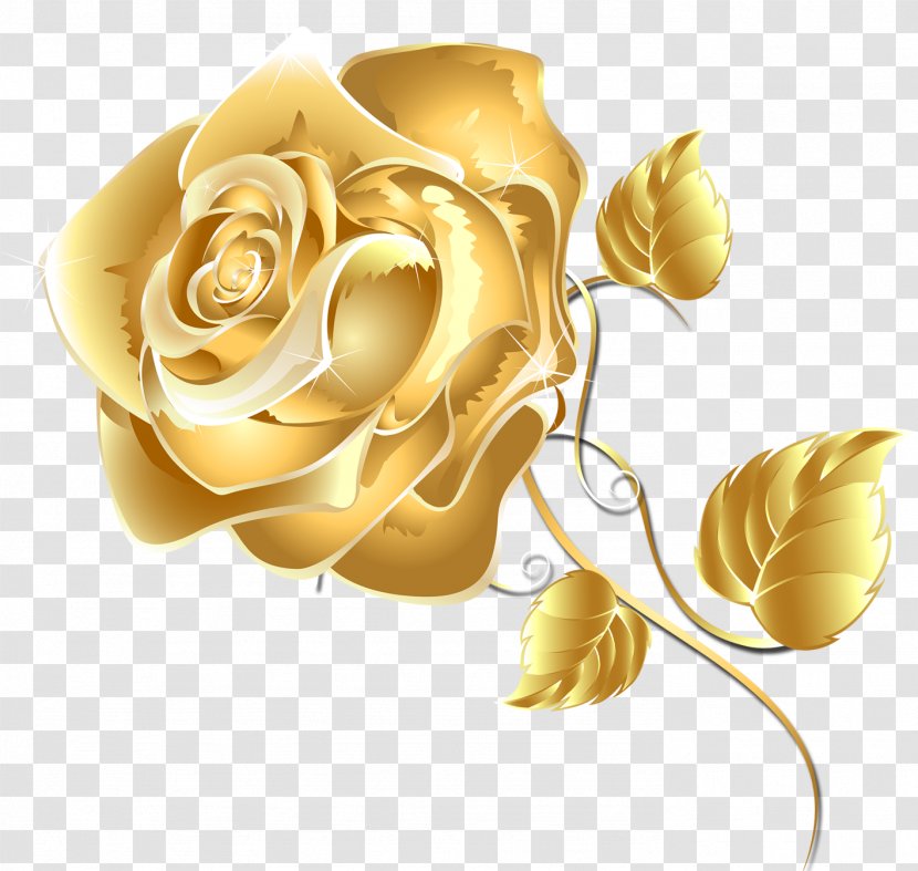 Garden Roses - Rose Family - Austrian Briar Floribunda Transparent PNG