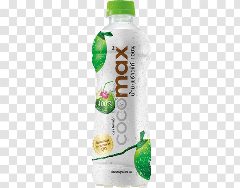 Coconut Water Smoothie Nata De Coco Juice Thailand - Liquid Transparent PNG