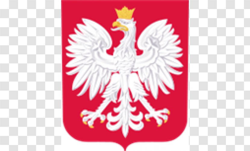 Coat Of Arms Poland Dream League Soccer Logo 2018 World Cup - United States Transparent PNG