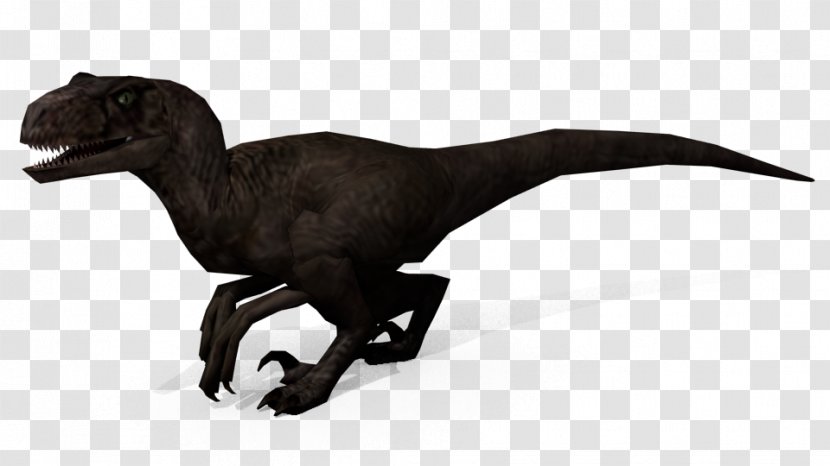 Velociraptor Jurassic Park: Operation Genesis Indoraptor Dilophosaurus Isla Nublar - Dinosaur - Park Carnotaurus Transparent PNG