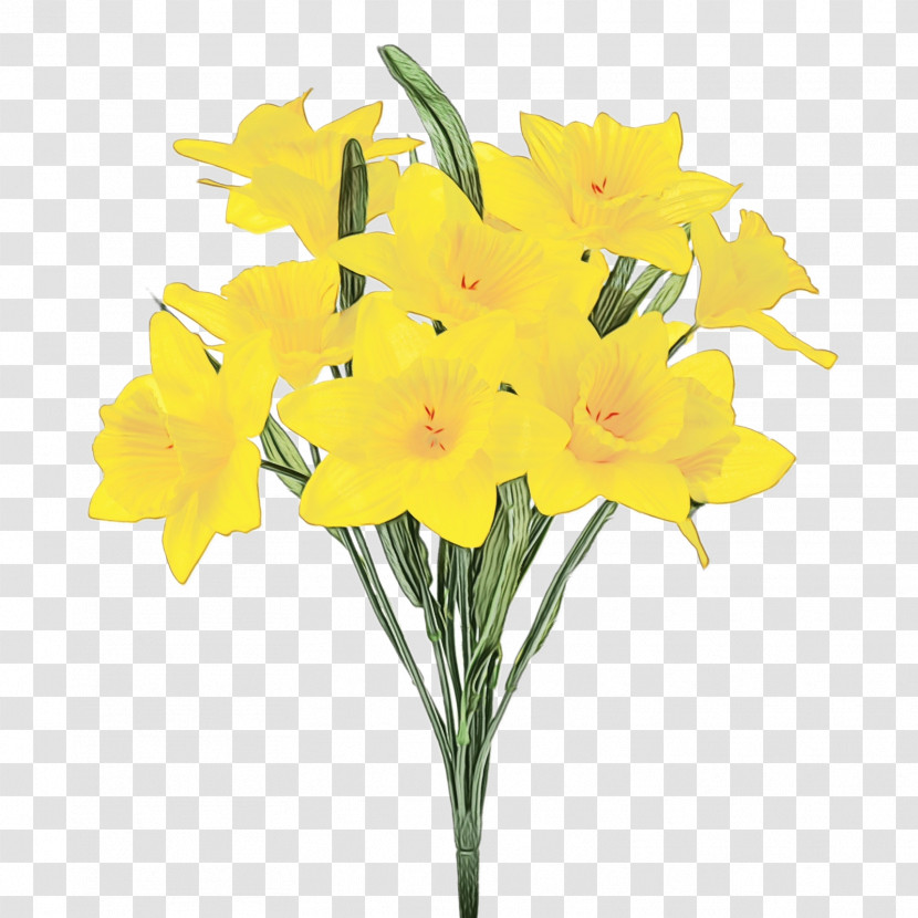 Flower Plant Yellow Cut Flowers Narcissus Transparent PNG
