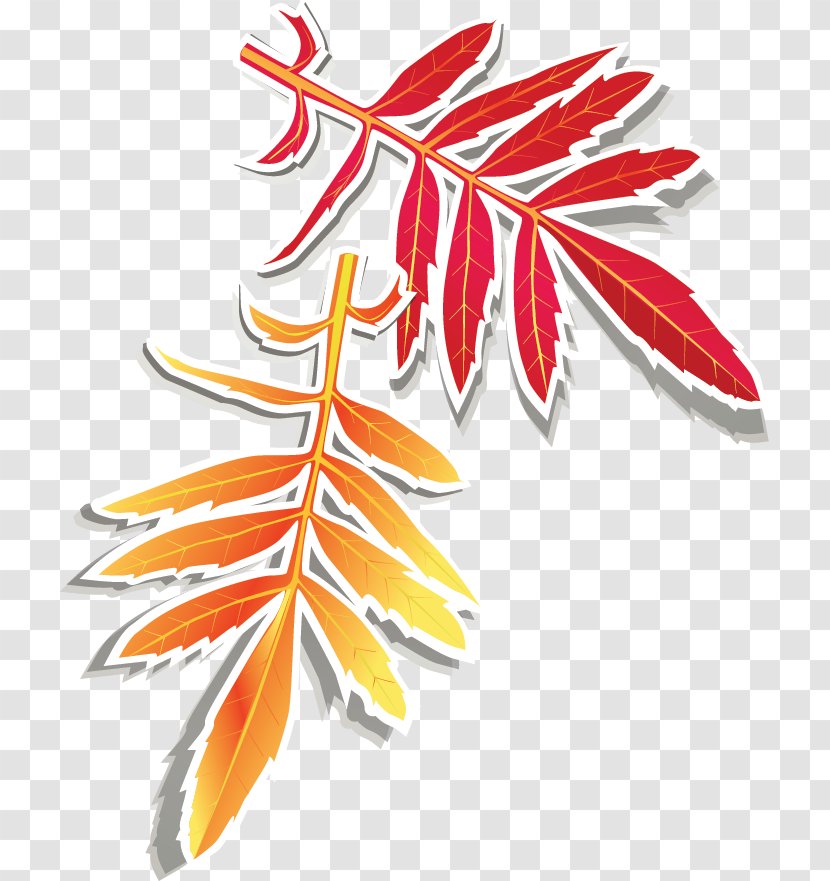 Autumn Golf Clip Art - Flower - Leaves Design Elements Transparent PNG