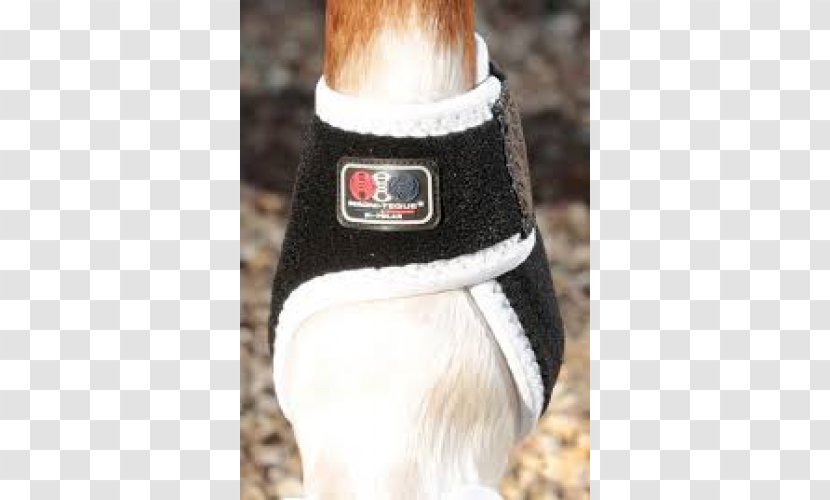 Horse Fetlock Craft Magnets Magnet Therapy Hoof Boot - Snout Transparent PNG