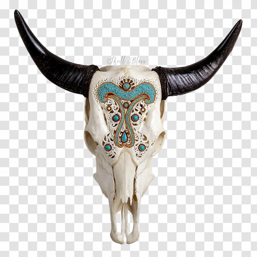 Texas Longhorn Skull Charolais Cattle Bull - Quartz Transparent PNG
