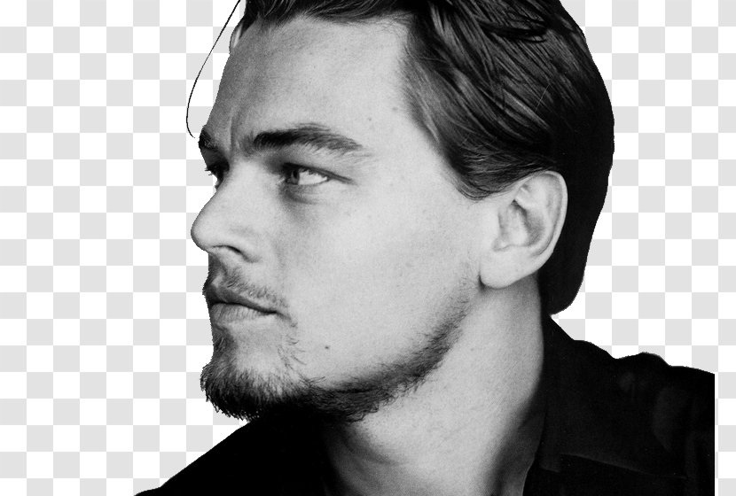 Leonardo DiCaprio Django Unchained Actor Film Producer Director - Cheek Transparent PNG