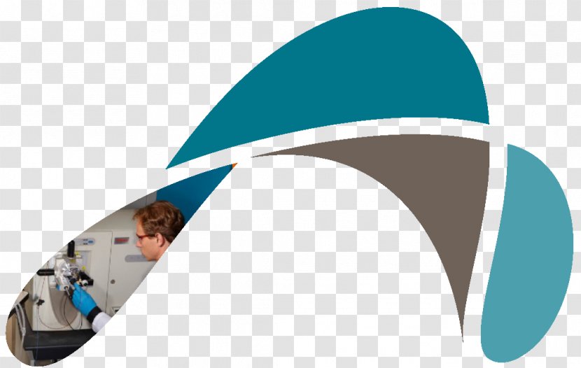 Logo Brand Customer Testimonial - Hat Transparent PNG