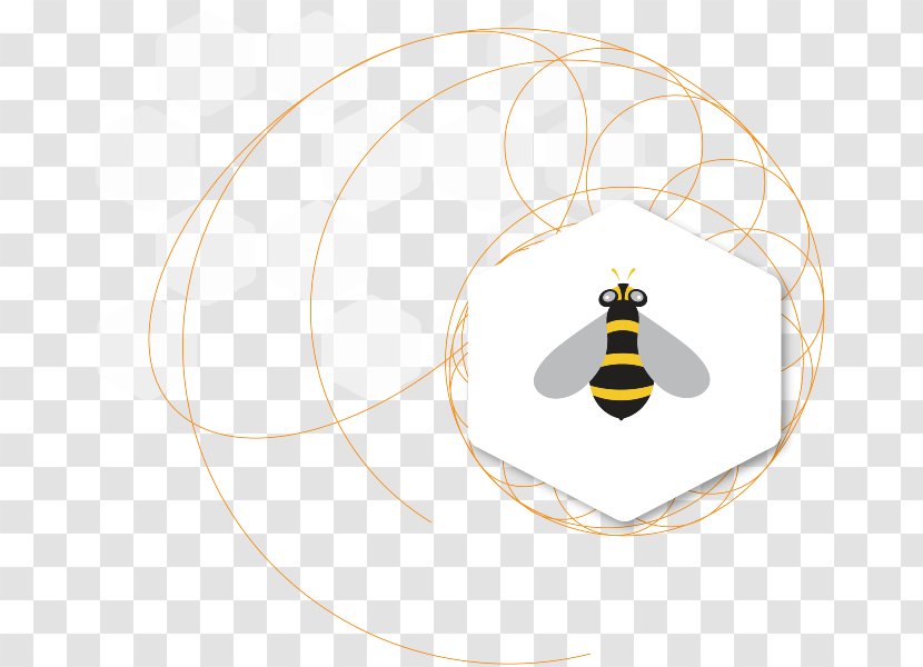 Insect Bee Pollinator Material - Animal - Hive Transparent PNG