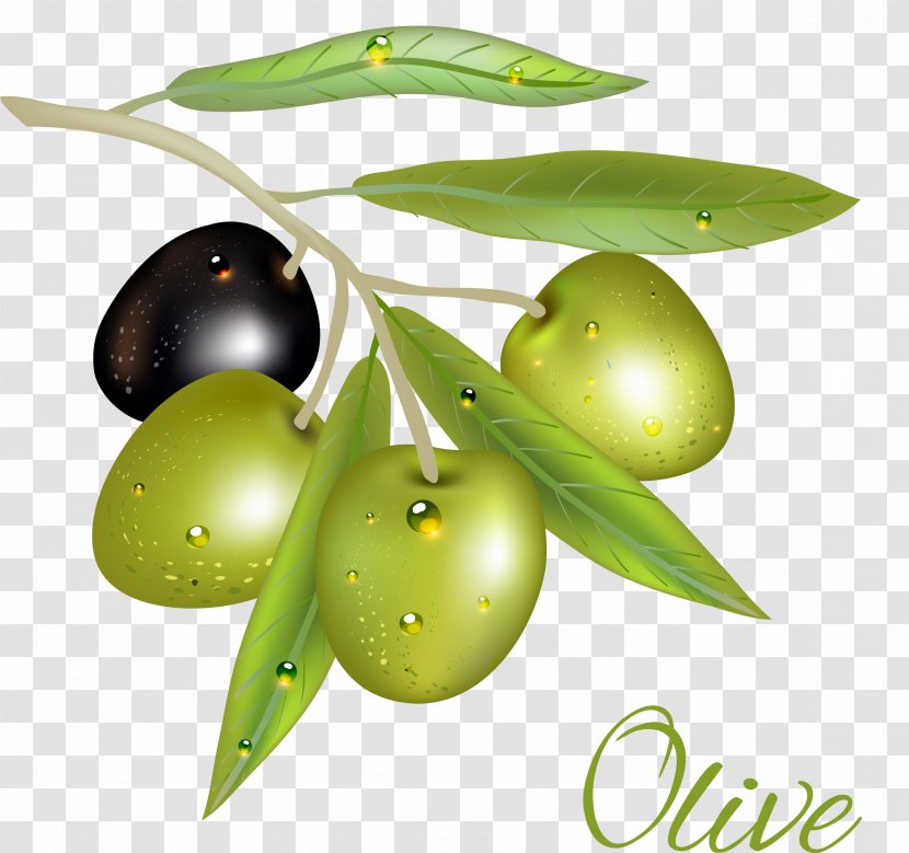 Olive Euclidean Vector - Leaf - Green Oil Transparent PNG