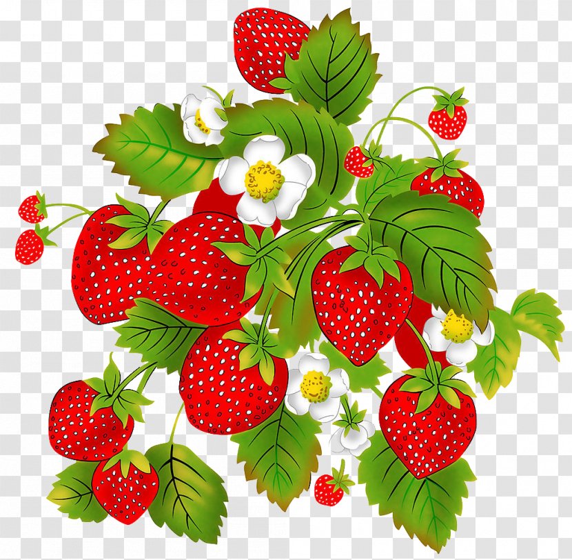 Strawberry Aedmaasikas Child Auglis Raspberry - Berry Transparent PNG