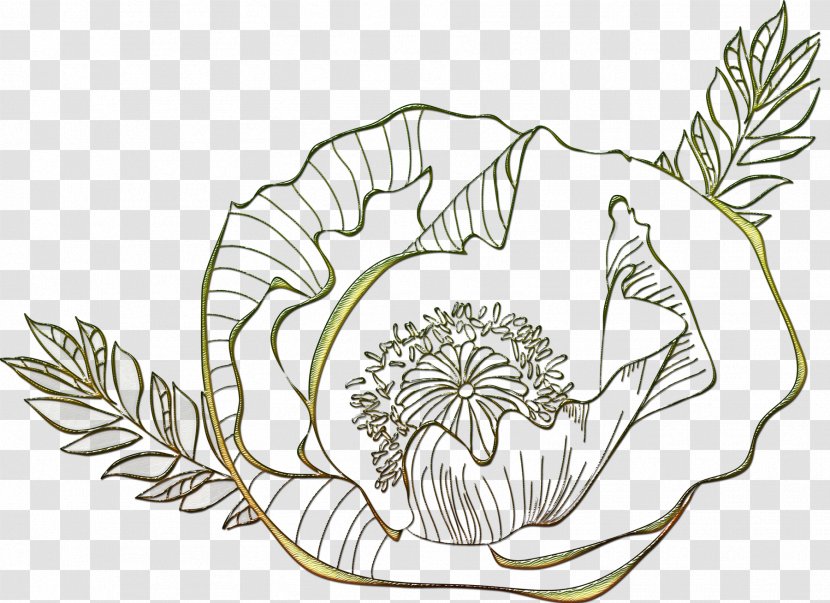Floral Design Leaf Plant Stem Line Art - Flora - Delicate Flowers Transparent PNG