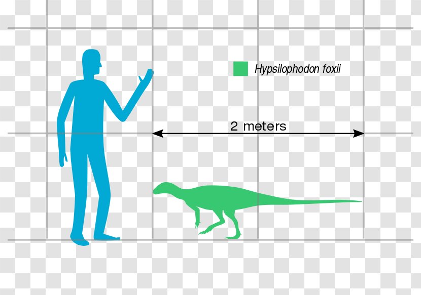 Hypsilophodon Spinops Psittacosaurus Early Cretaceous Dinosaur Transparent PNG
