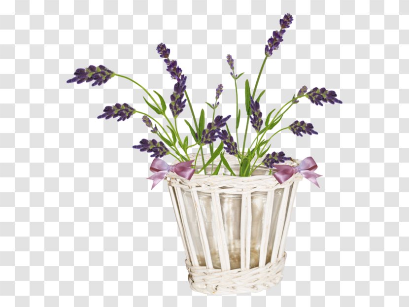 English Lavender French Cut Flowers Violet - Flower Transparent PNG