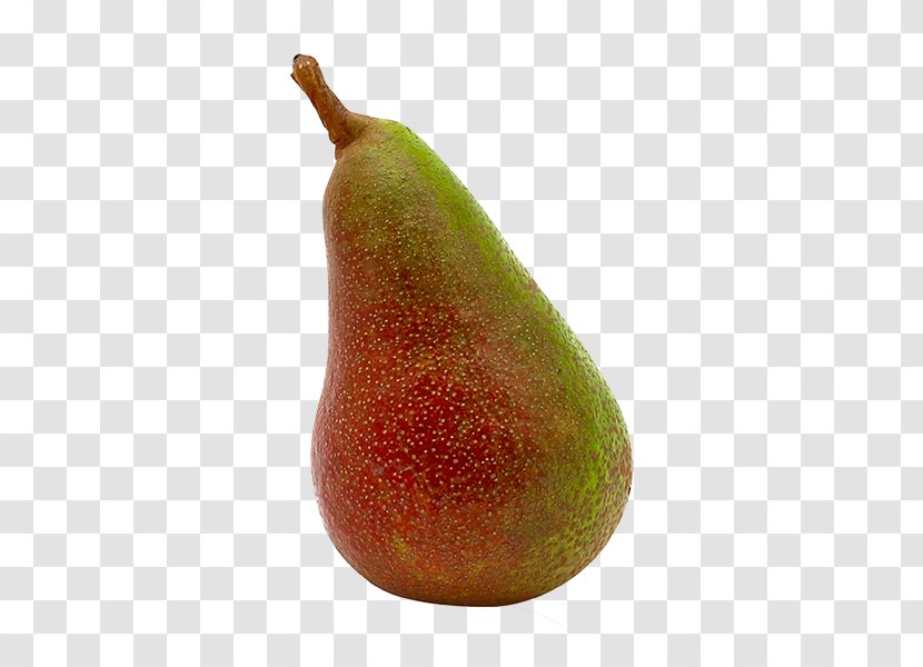 Williams Pear Accessory Fruit Auglis - Idee Transparent PNG