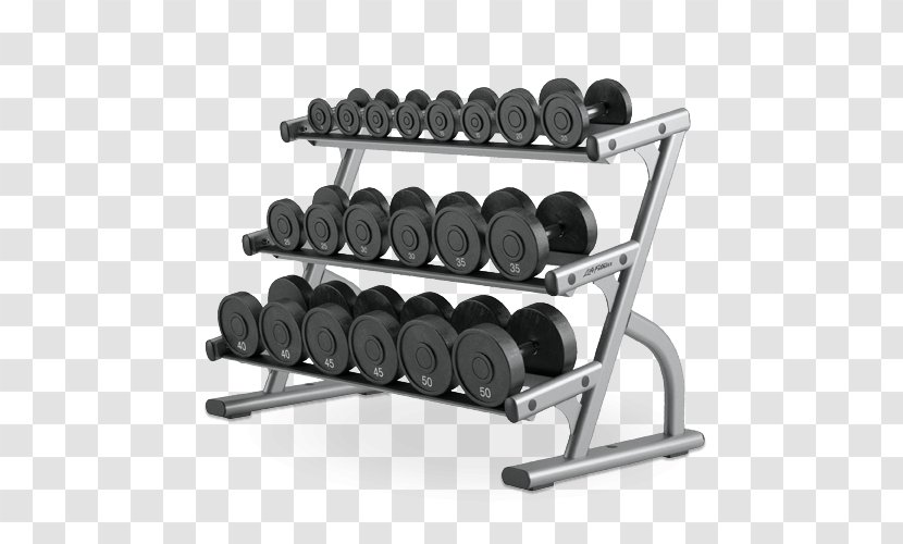 Dumbbell Weight Training Fitness Centre Exercise Equipment Strength Transparent PNG
