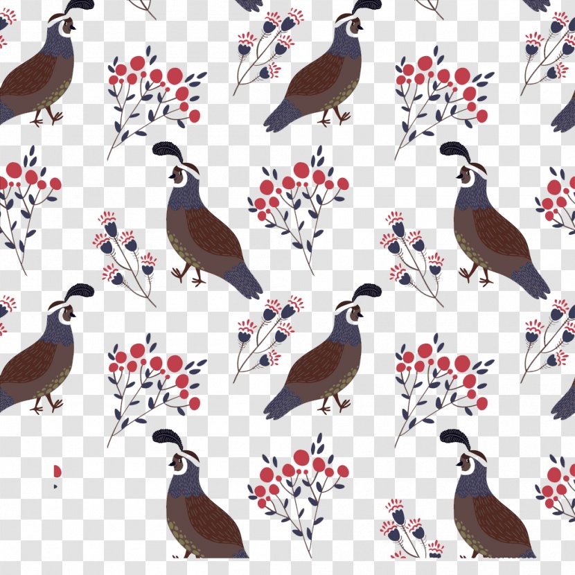 Bird Spoonflower - Feather - Background Transparent PNG