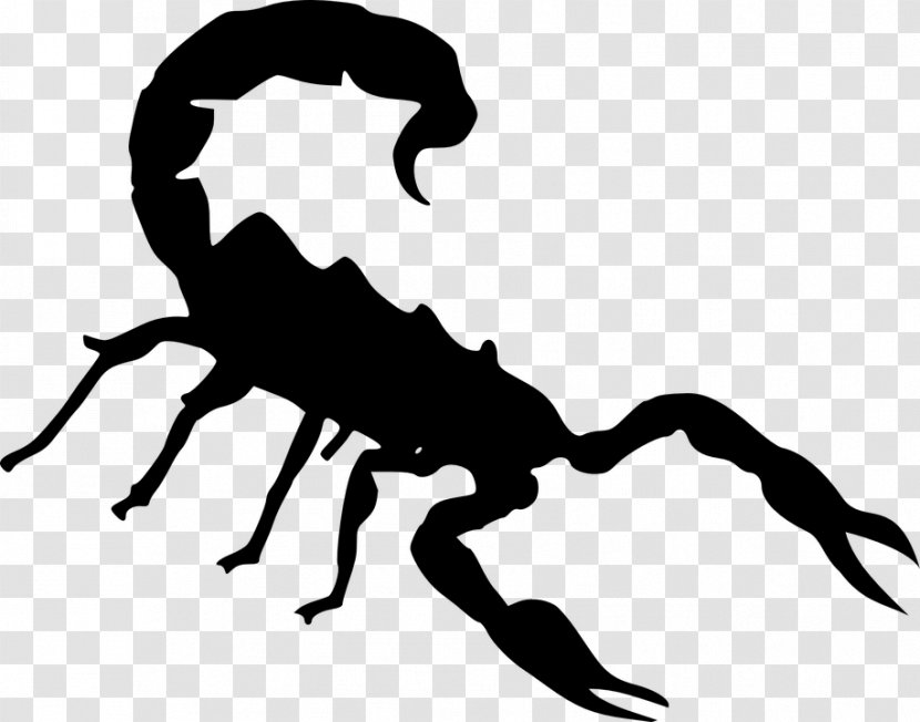 Scorpion Clip Art - Scorpio - Skorpion Transparent PNG