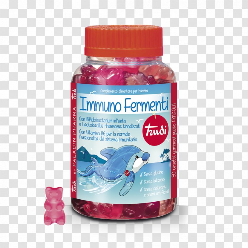 Gummy Bear Baby Food Probiotic Gummi Candy Lactobacillus Rhamnosus - Immune System - Child Transparent PNG