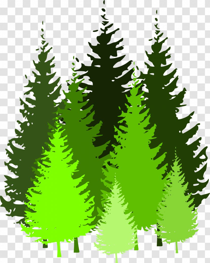 Forest Pine Clip Art - Leaf - Fir-tree Transparent PNG