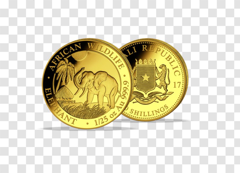 Somalia African Elephant Silver Coin - Gold Transparent PNG