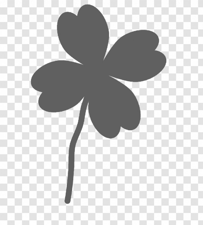Four-leaf Clover Luck - Flower Transparent PNG