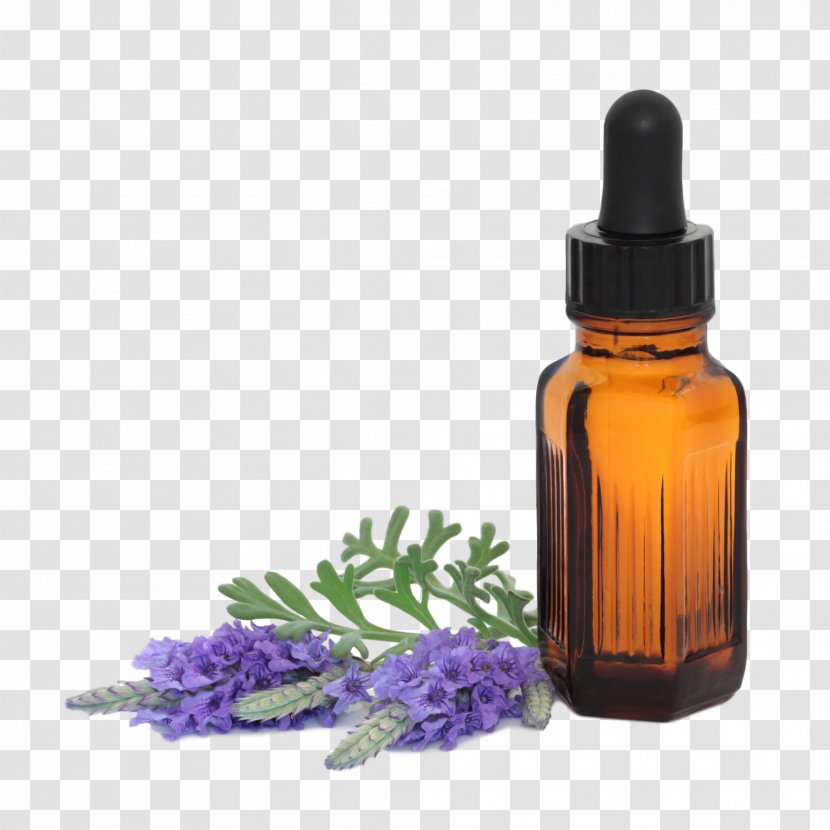 Essential Oil Lavender Aromatherapy English - Frankincense Transparent PNG