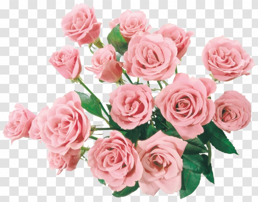 Flower Rose Stock Photography Clip Art - Flowering Plant - A Large Bouquet Of Flowers Transparent PNG