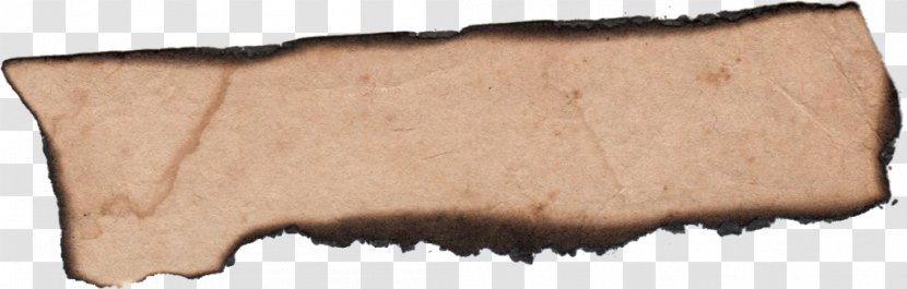 Paper Label - Parchment - Burntpaper Transparent PNG