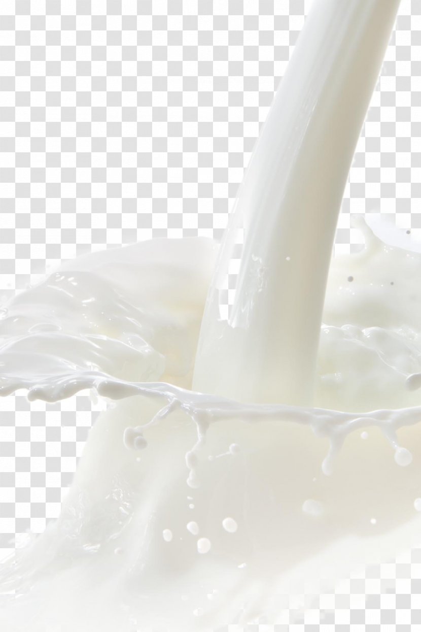 Milk Food Icon - Spray Splashes Of Transparent PNG