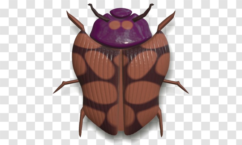Beetle Insect Wing Arthropod Hornet Clip Art Transparent PNG