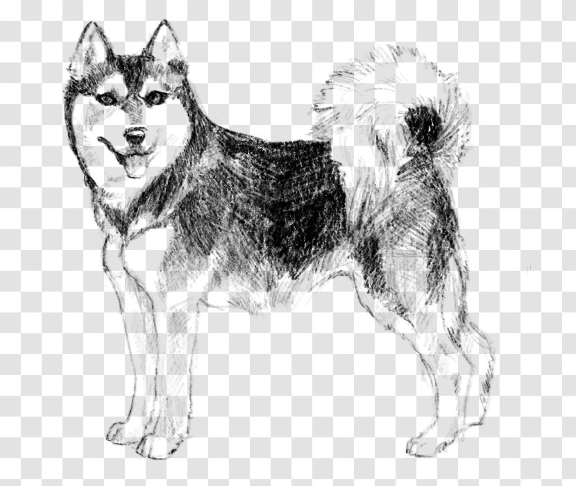 Dog Drawing - Icelandic Sheepdog Sled Transparent PNG