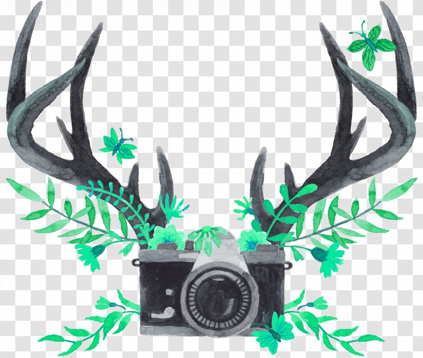 Antler Watercolor Painting Reindeer Tmall - Green Simple Antlers Camera Decorative Patterns Transparent PNG
