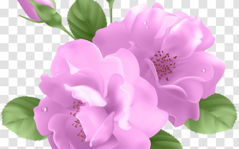 Blue Rose Flower Clip Art - Magenta Transparent PNG