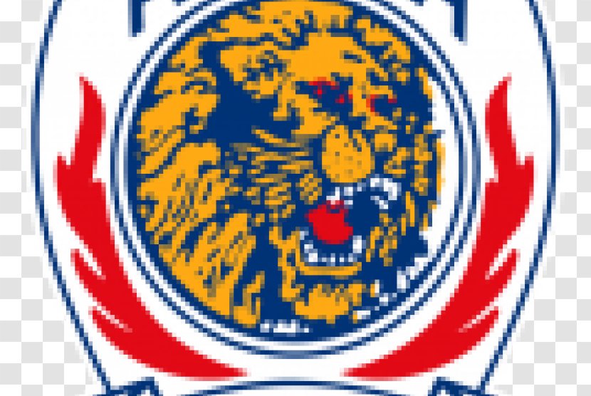 Arema FC Sriwijaya Liga 1 Borneo Malang - Aremania - Football Transparent PNG