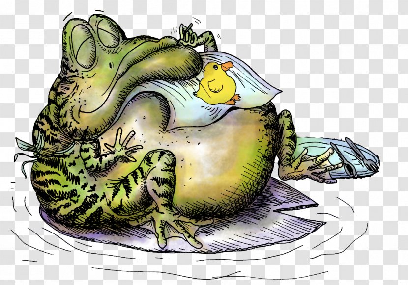 Frog Art Illustrator - Freelancer Transparent PNG