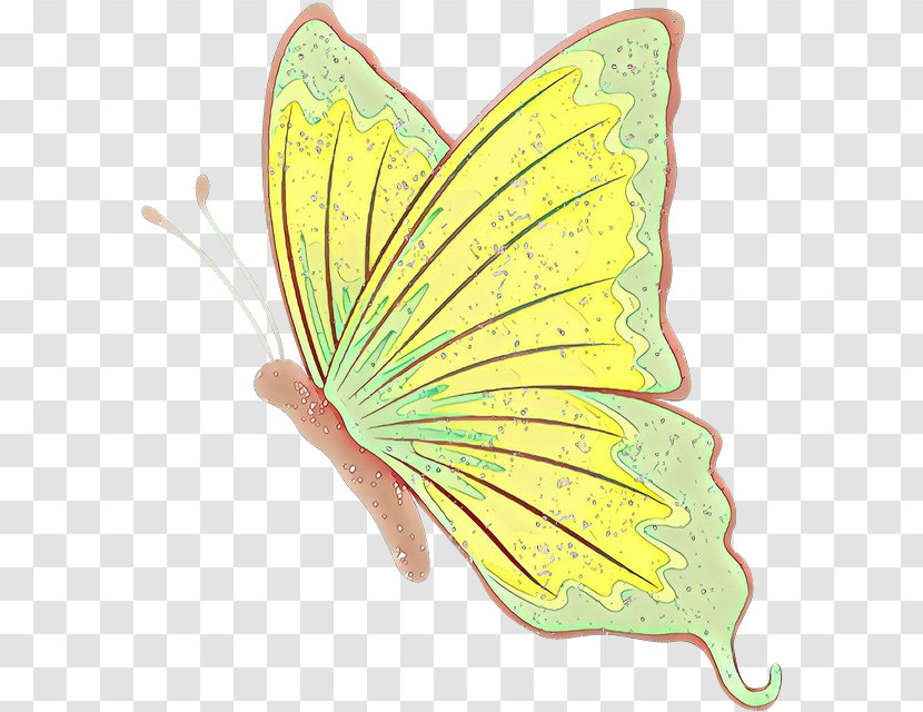 Butterfly Insect Moths And Butterflies Leaf Yellow Transparent PNG