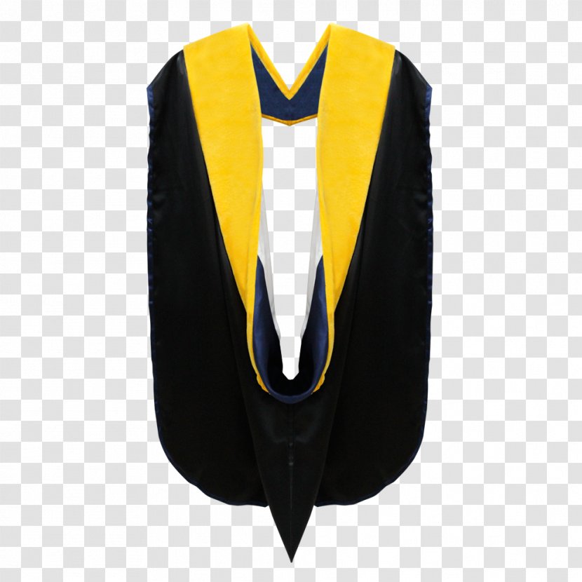 Academic Dress Graduation Ceremony Doctorate Degree Robe - Hood - Gown Transparent PNG